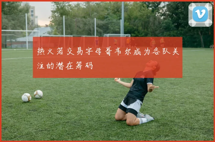 热火若交易字母哥韦尔成为各队关注的潜在筹码