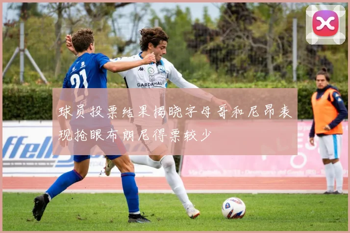 球员投票结果揭晓字母哥和尼昂表现抢眼布朗尼得票较少
