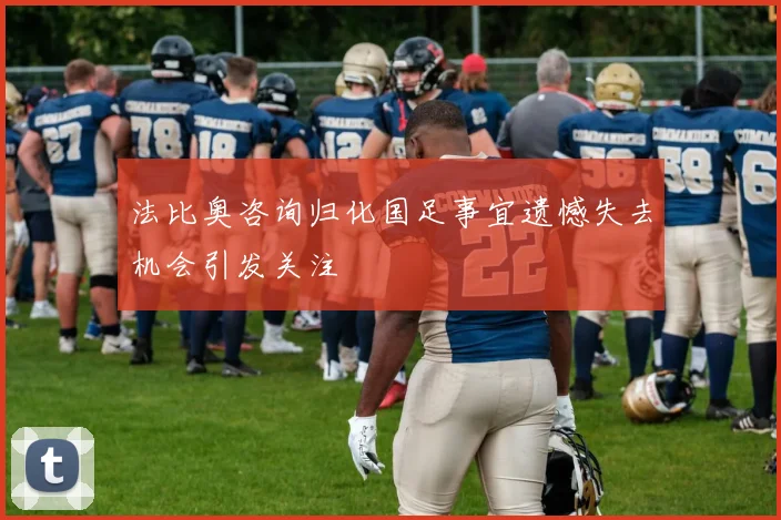 法比奥咨询归化国足事宜遗憾失去机会引发关注