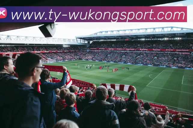 悟空体育APP 封面图