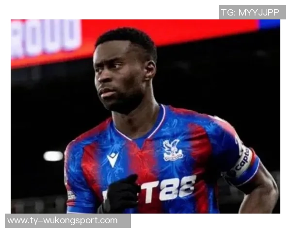 水晶宫冬窗计划引进博伊转会费预计达1300万英镑